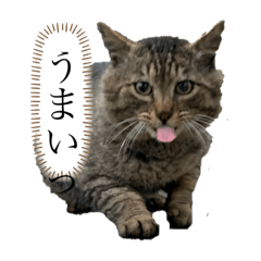 [LINEスタンプ] もん・金・でか〜夢コラボ編