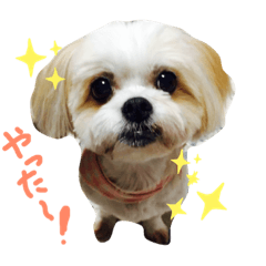 [LINEスタンプ] おめぐのスタンプ