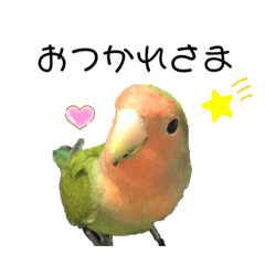 [LINEスタンプ] こまめスタンプ4