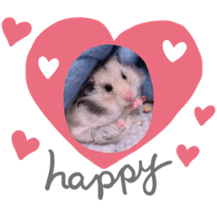 [LINEスタンプ] シルバーグレーのレアちゃん。