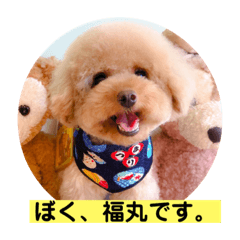 [LINEスタンプ] ぼく、福丸です。その3