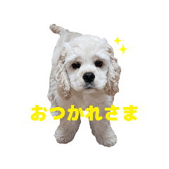 [LINEスタンプ] こぐまのぎんちゃん