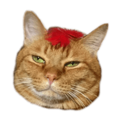 [LINEスタンプ] あだちとにー