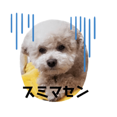 [LINEスタンプ] loperope10