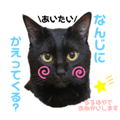 [LINEスタンプ] 黒猫ミクロ