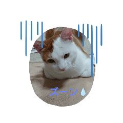 [LINEスタンプ] ズーン