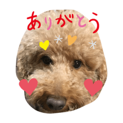 [LINEスタンプ] モコくんスタンプ1