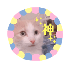 [LINEスタンプ] 猫のキサ2