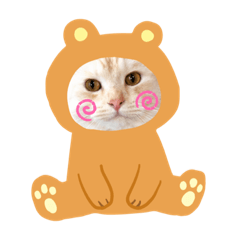 [LINEスタンプ] 金時君の日常スタンプ