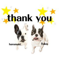 [LINEスタンプ] フレブル福ちゃん はるまきちゃんと一緒に