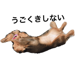 [LINEスタンプ] 佐久川家