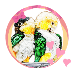 [LINEスタンプ] シロハラインコとニョオウインコ3