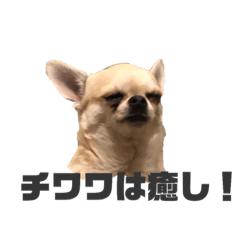 [LINEスタンプ] ちわ丸  スタンプ その2