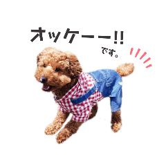 [LINEスタンプ] トイプーちっぷ☆3
