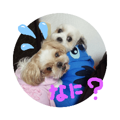 [LINEスタンプ] ぽねたん