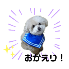 [LINEスタンプ] 金本まろん