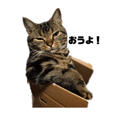 [LINEスタンプ] しし丸すたんぷ