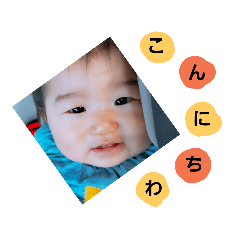 [LINEスタンプ] 日常会話⌣̈⃝ shima③