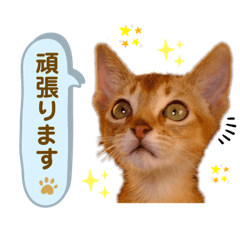 [LINEスタンプ] 花子の気持ち