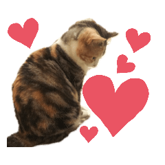 [LINEスタンプ] 背中にもハート❤️！？麦ちゃん③