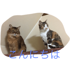 [LINEスタンプ] レオミオ物語