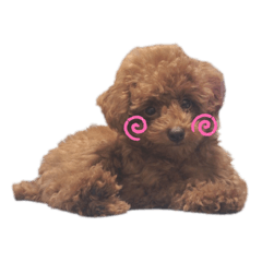 [LINEスタンプ] 小さな怪獣こたろうくん315