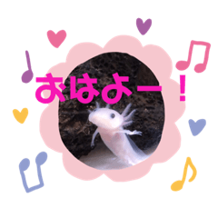 [LINEスタンプ] チャイくんandピンクちゃん2