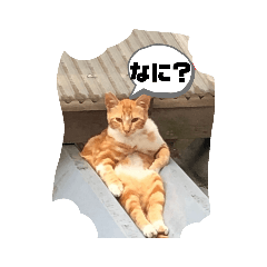 [LINEスタンプ] すわるネコ