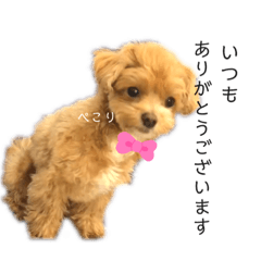 [LINEスタンプ] マルプーマルコ3