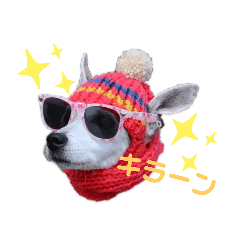 [LINEスタンプ] たろうのぼんぼん生活