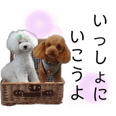 [LINEスタンプ] 天津マロンの愉快なスタンプ！