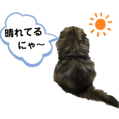 [LINEスタンプ] ドンノブボム⑥