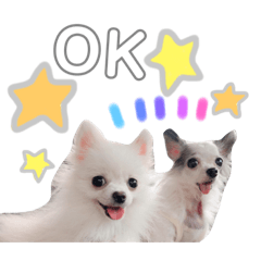[LINEスタンプ] Qoo ＆ Latte 01