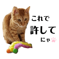 [LINEスタンプ] カリーです☆