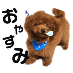 [LINEスタンプ] まるのスタンプ❤︎