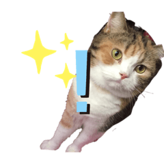 [LINEスタンプ] keep the time