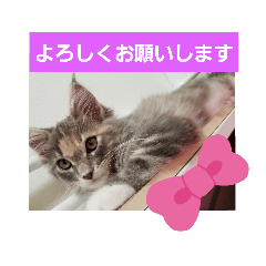 [LINEスタンプ] mi69family