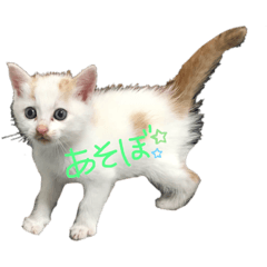 [LINEスタンプ] 僕達