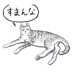 いいネコキャット（日本語版）
