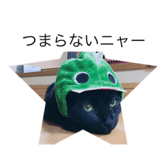[LINEスタンプ] 寝子(ねこ)＆起子(おこ)ニャン
