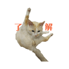 [LINEスタンプ] じゃりくんの日常