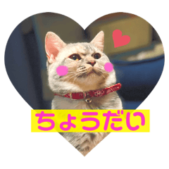 [LINEスタンプ] マンチカンの足長ルナ2