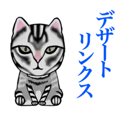 [LINEスタンプ] 猫シュシュシュ、なな