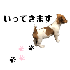 [LINEスタンプ] 獅子丸Vol.1