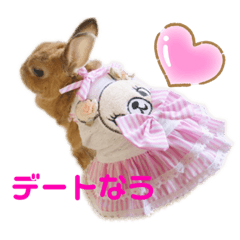 [LINEスタンプ] kinakoはRabbit②