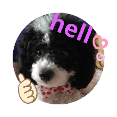 [LINEスタンプ] 僕はプードル2