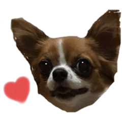 [LINEスタンプ] ハナだよ