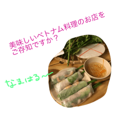 [LINEスタンプ] ベトナムで撮った写真スタンプ2
