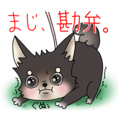 [LINEスタンプ] ゆめ、時々むーさん
