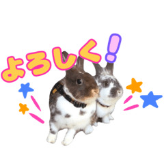 [LINEスタンプ] ロコモコの日常